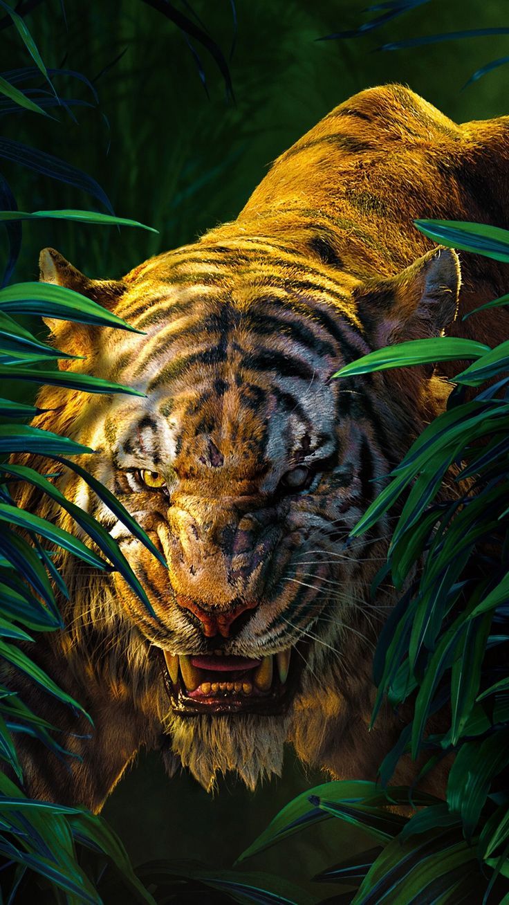 736x1308 Tiger in the Jungle Wallpaper. Crouching tiger HD wallpaper, Tiger wallpaper for pc, Tiger with