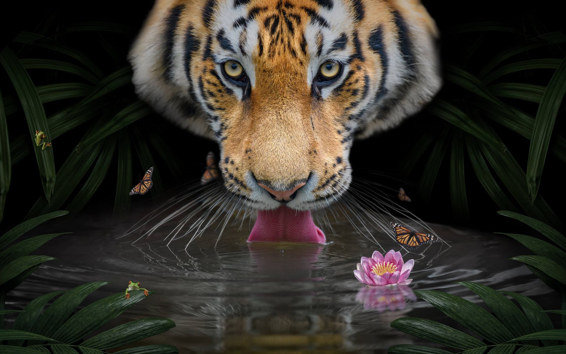 1920x1200 Jungle Tiger