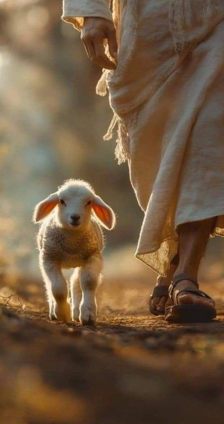 720x1360 Jesus on my mind. Jesus running after lamb wallpaper, Jesus and lamb wallpaper, Paintings