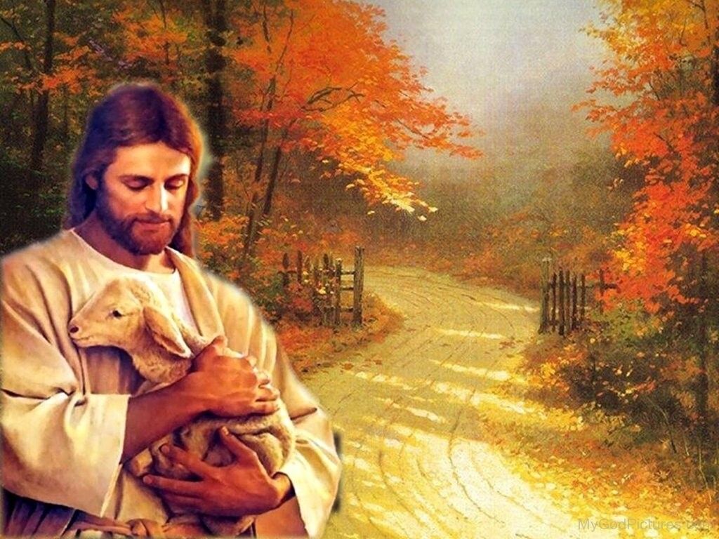 1024x768 JESUS holding a cute lamb 8 x 10 ULTRA PREMIUM GLOSSY PRINT ready to be framed