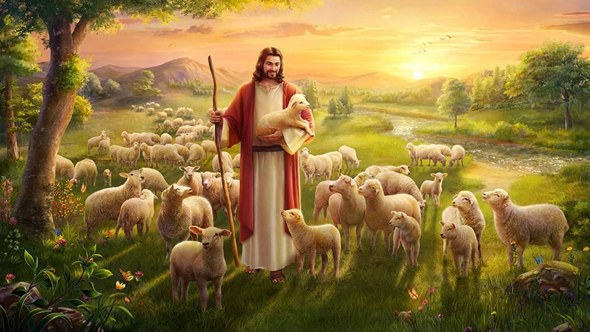1920x1080 Download Surrounded By Lambs Jesus Desktop Wallpaper
