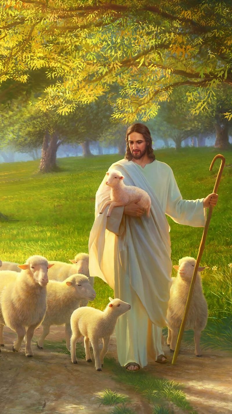 800x1422 HD lord jesus wallpaper