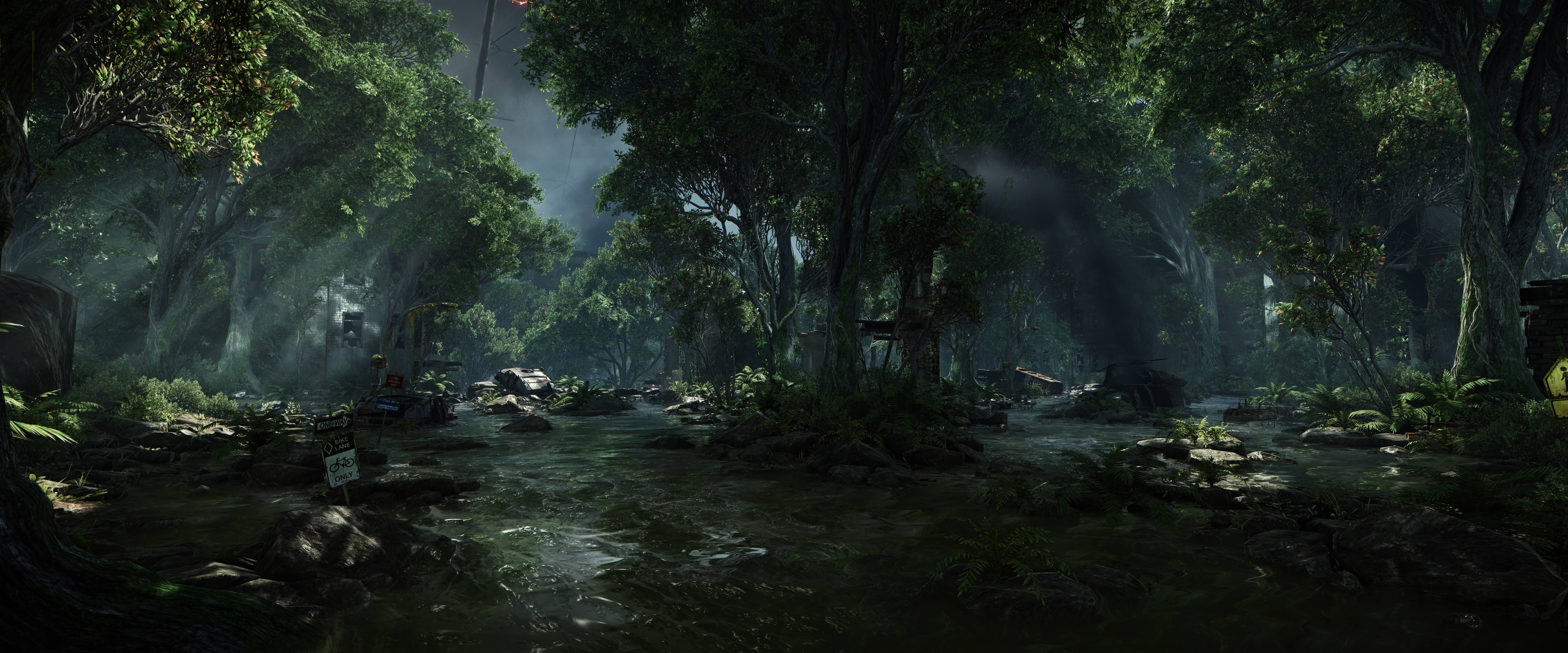 8000x3333 8k Forest Wallpaper