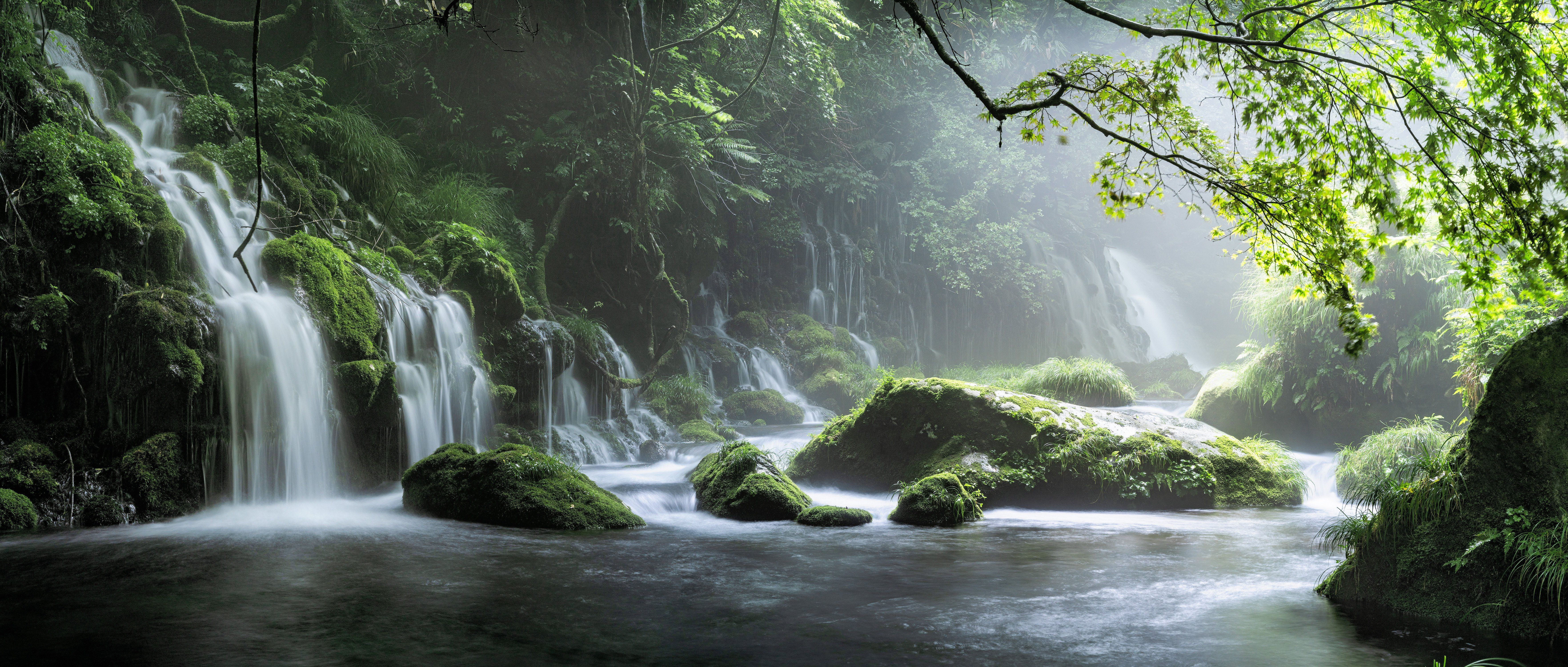 7054x3000 8k Forest Wallpaper