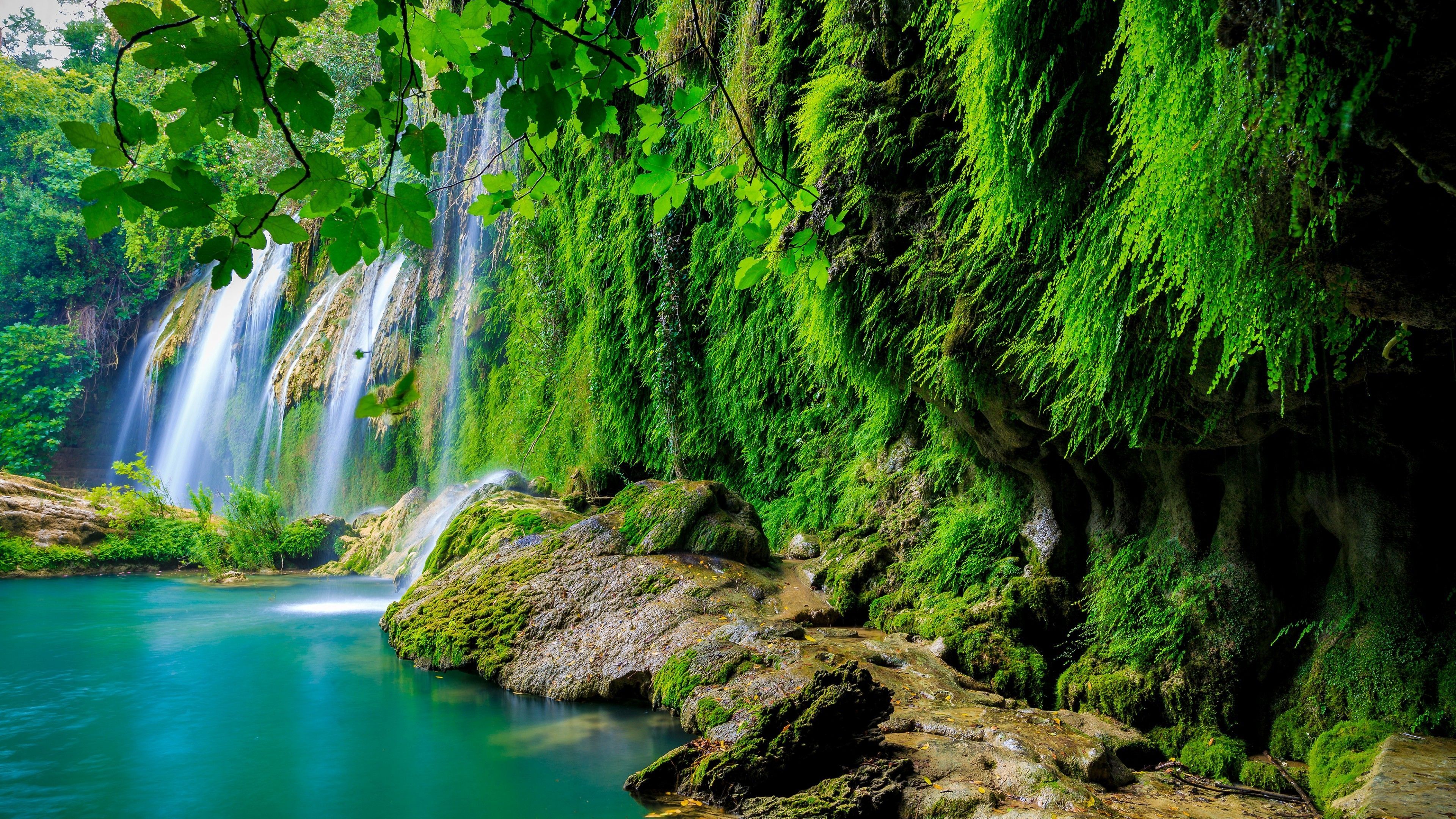 3840x2160 Amazon Rain Forest Wallpaper