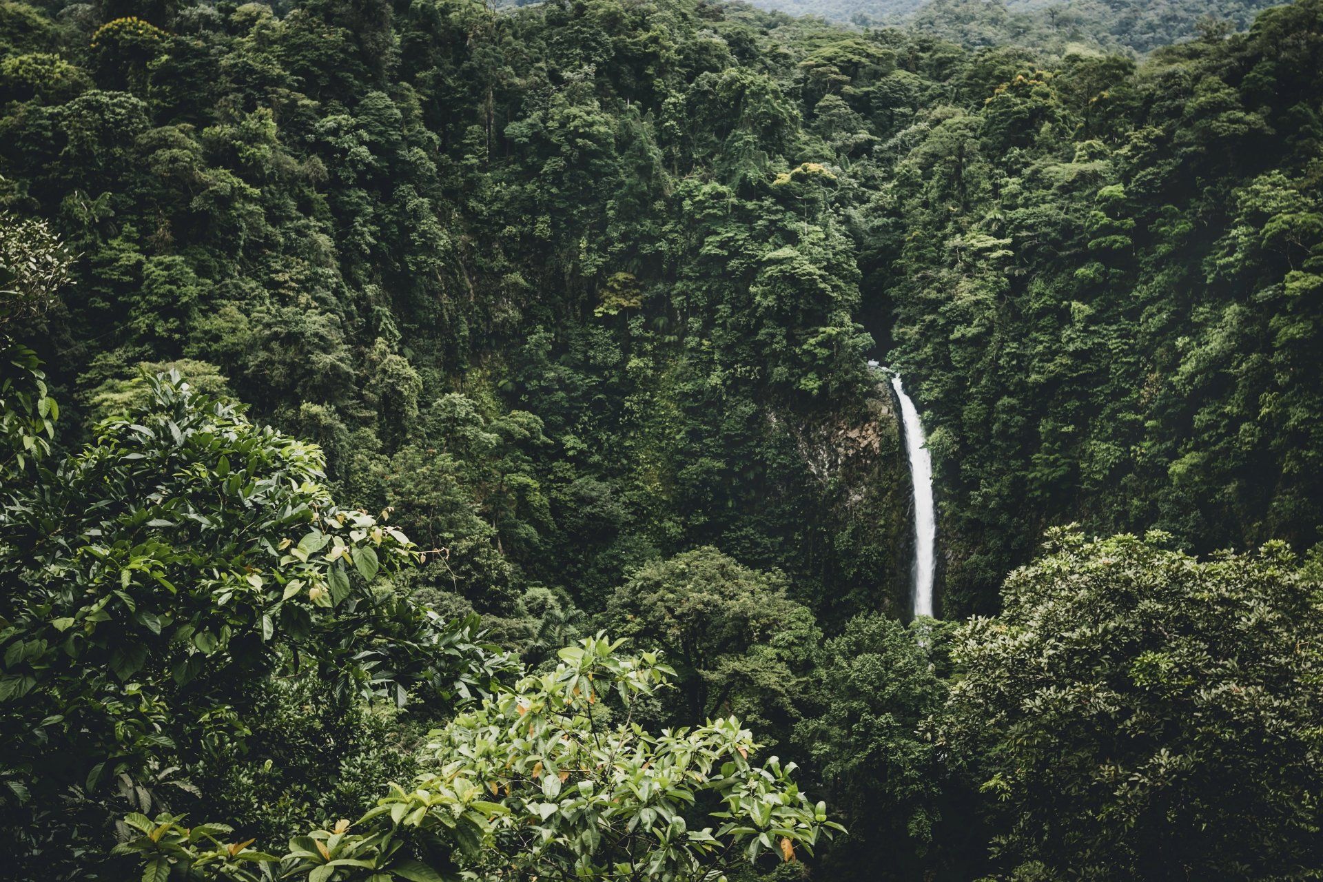 1920x1280 Emerald Jungle Falls