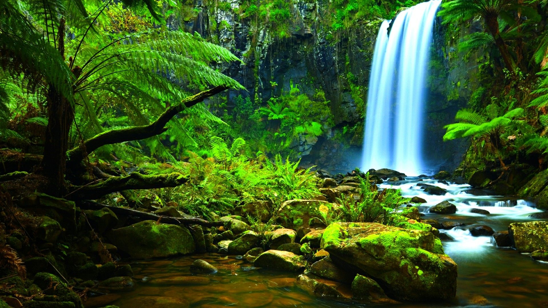 1920x1080 Amazon Rainforest waterfall