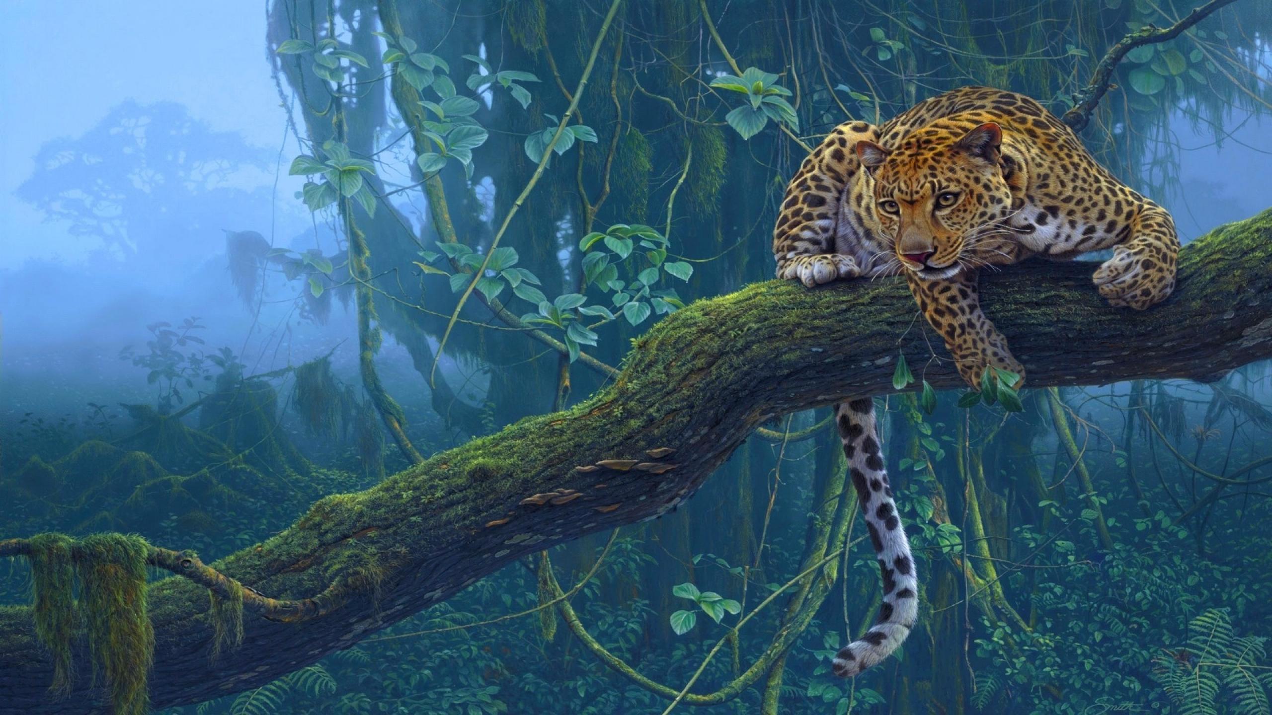 2560x1440 Free Rainforest 4K Wallpaper & Desktop HD Background for PC