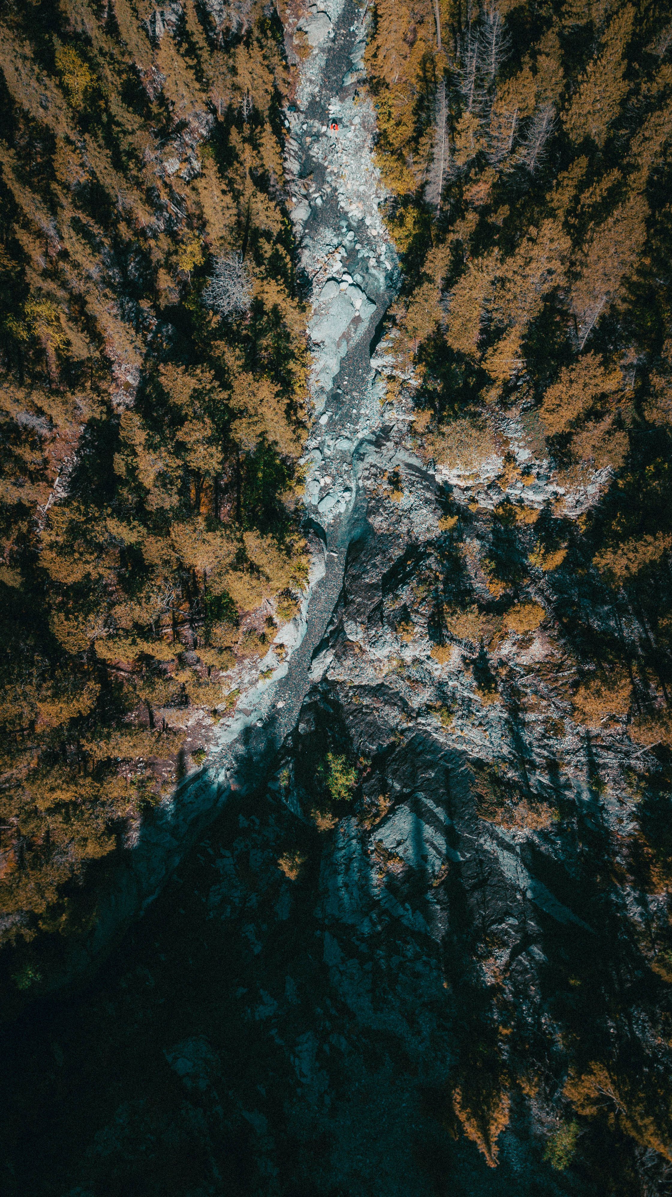 2242x3992 Download 8K iPhone Rainforest Aerial View Wallpaper