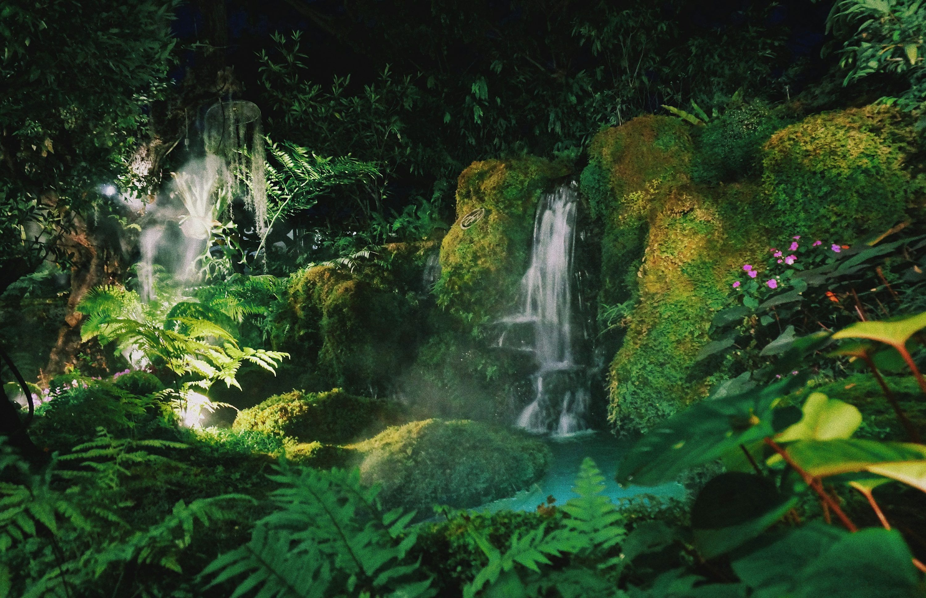 3000x1937 Stunning Rainforest Picture [HD]. Download Free Image