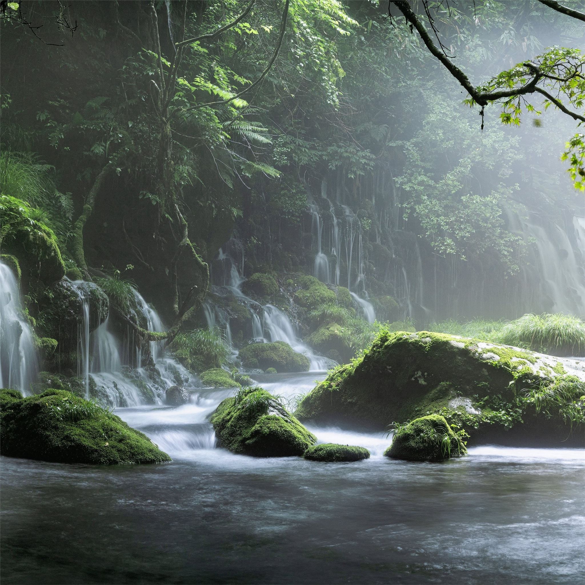 2048x2048 spring waterfall stone fog mist green forest 8k iPad Air Wallpaper Free Download