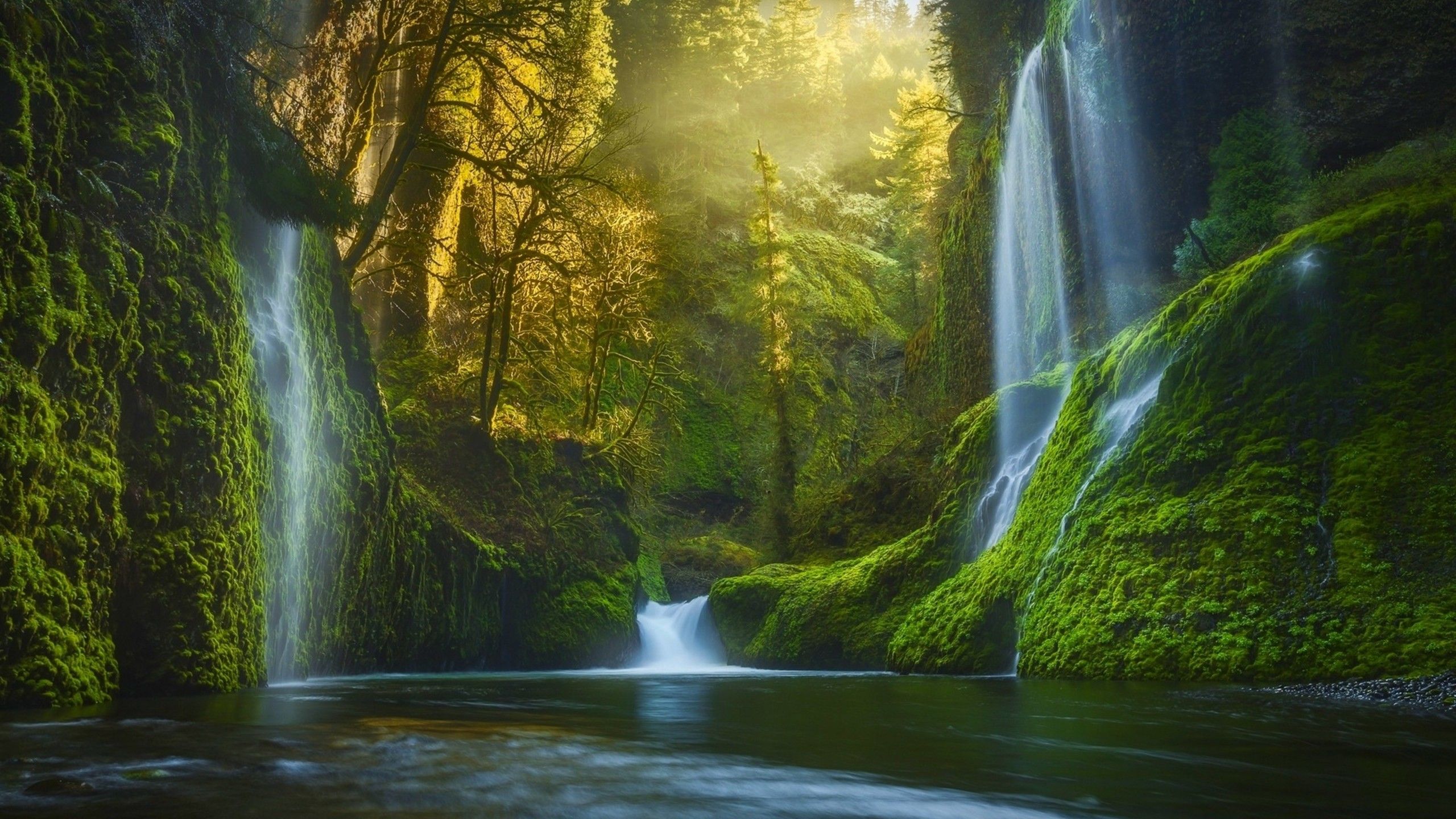 2560x1440 Wallpaper Waterfalls in Forest During Daytime, Background Free Image
