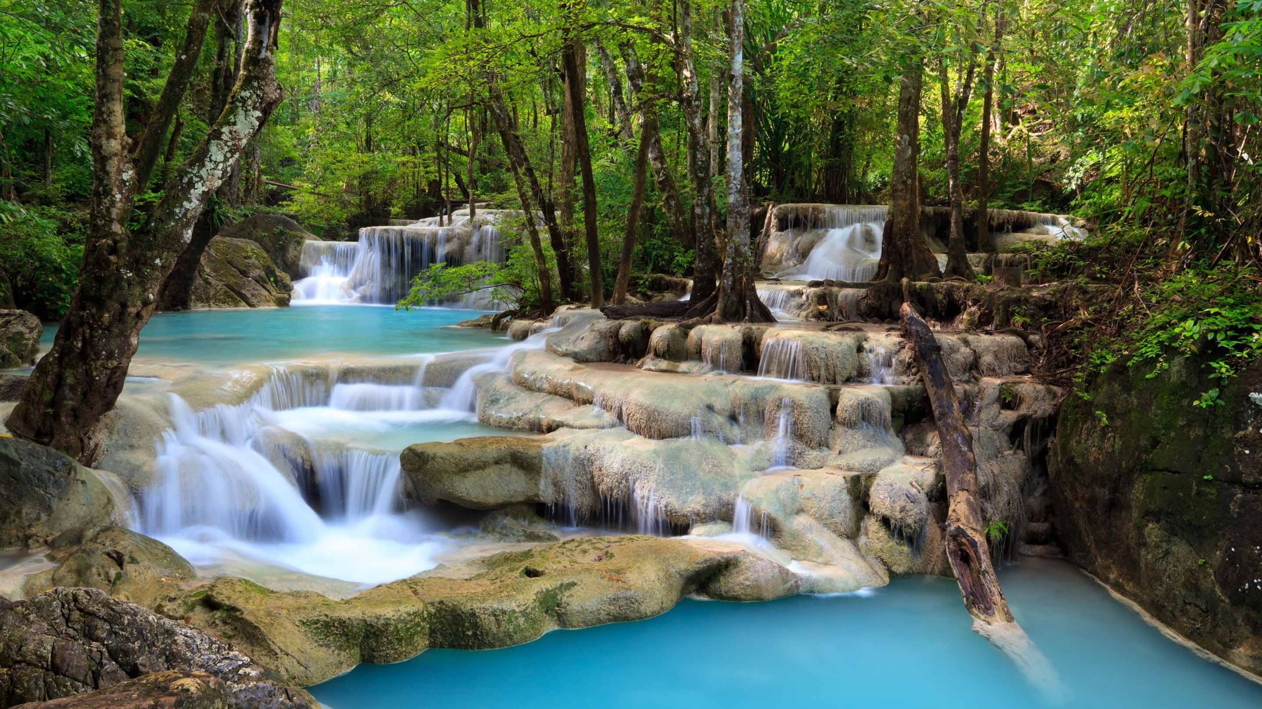 2560x1440 Tropical Waterfall MacBook Air Wallpaper Download