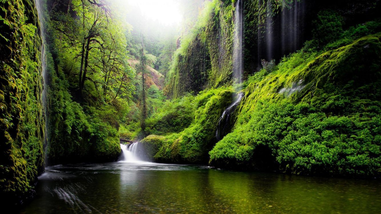 1333x750 Wallpaper Water Falls in The Middle of Green Trees, Background Free Image