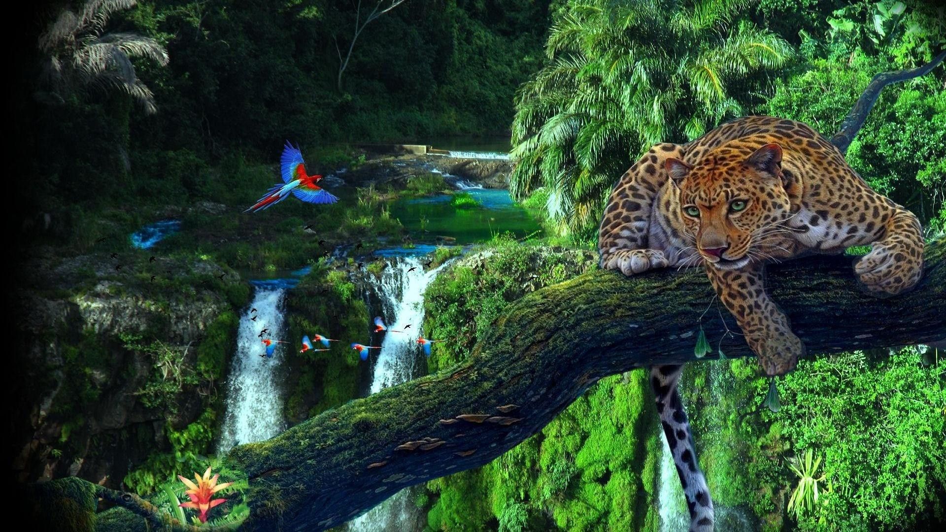 1920x1080 Amazon Rainforest Wallpaper