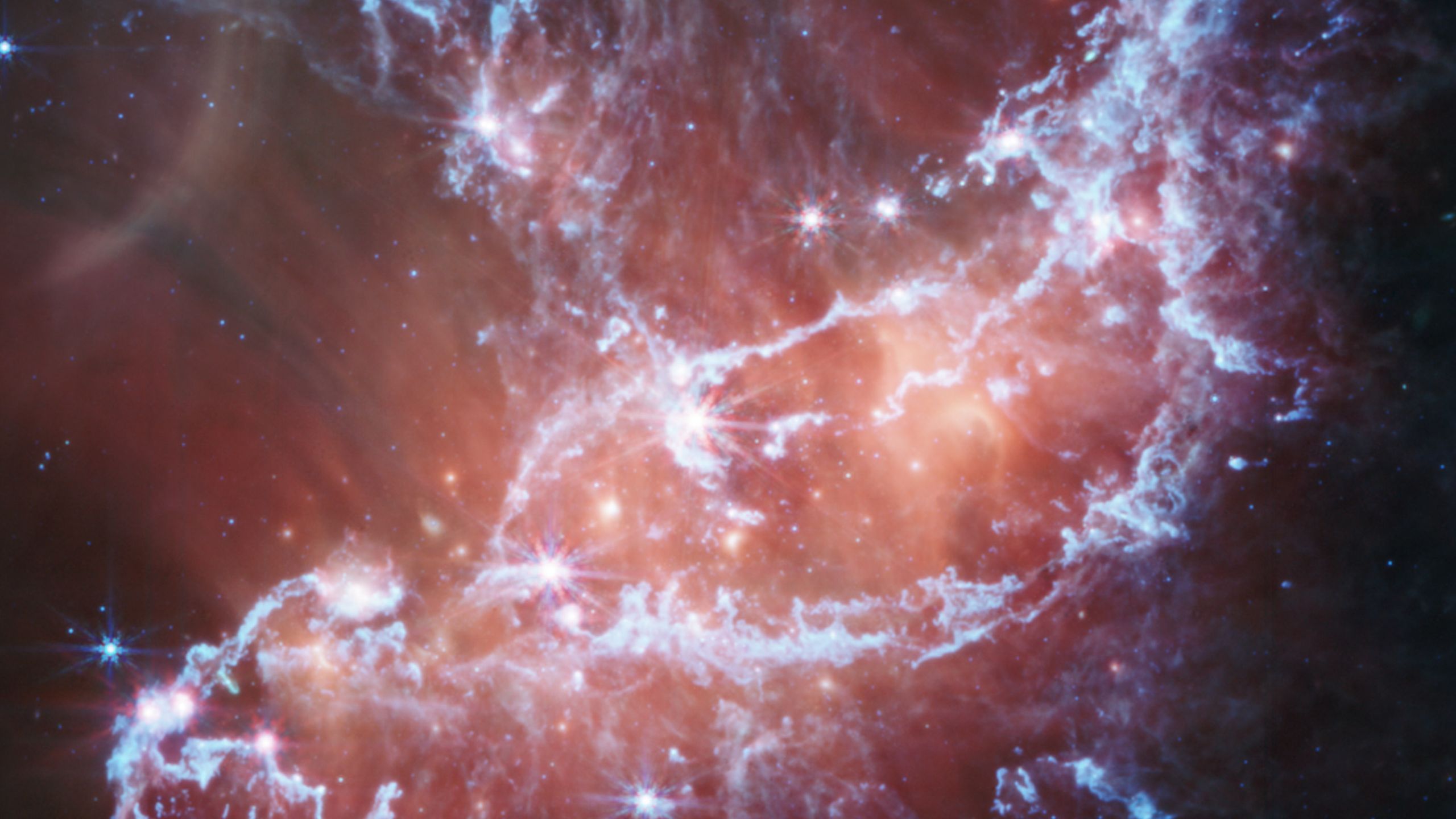2560x1440 Un recuento de estrellas en la Gran Nube de Magallanes, cortesía del James Webb