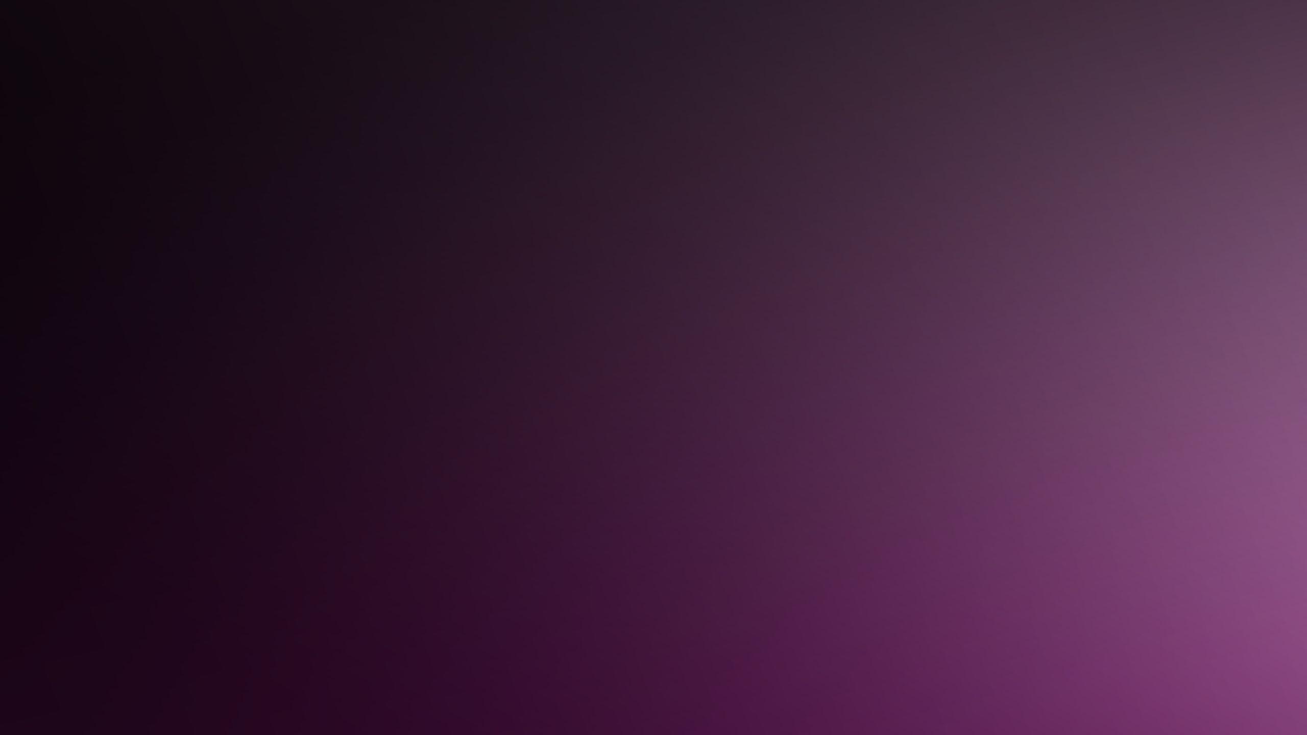 2560x1440 Dark Purple Wallpaper (2560x1440)