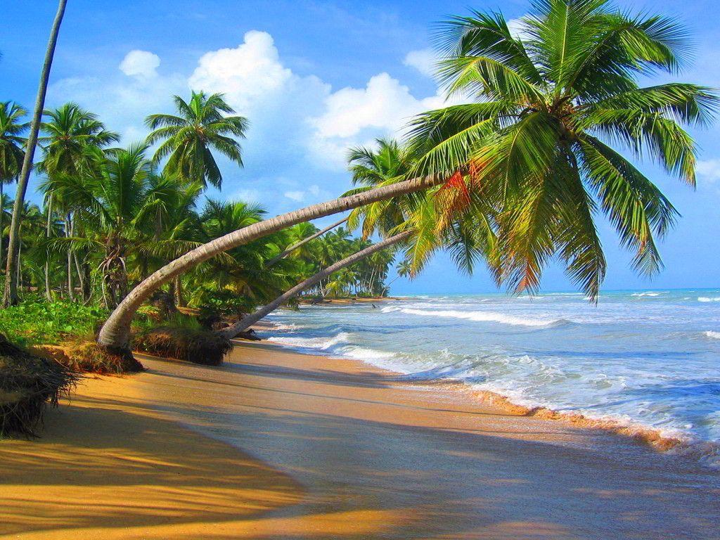 1024x768 Beautiful Beach HD Wallpaper