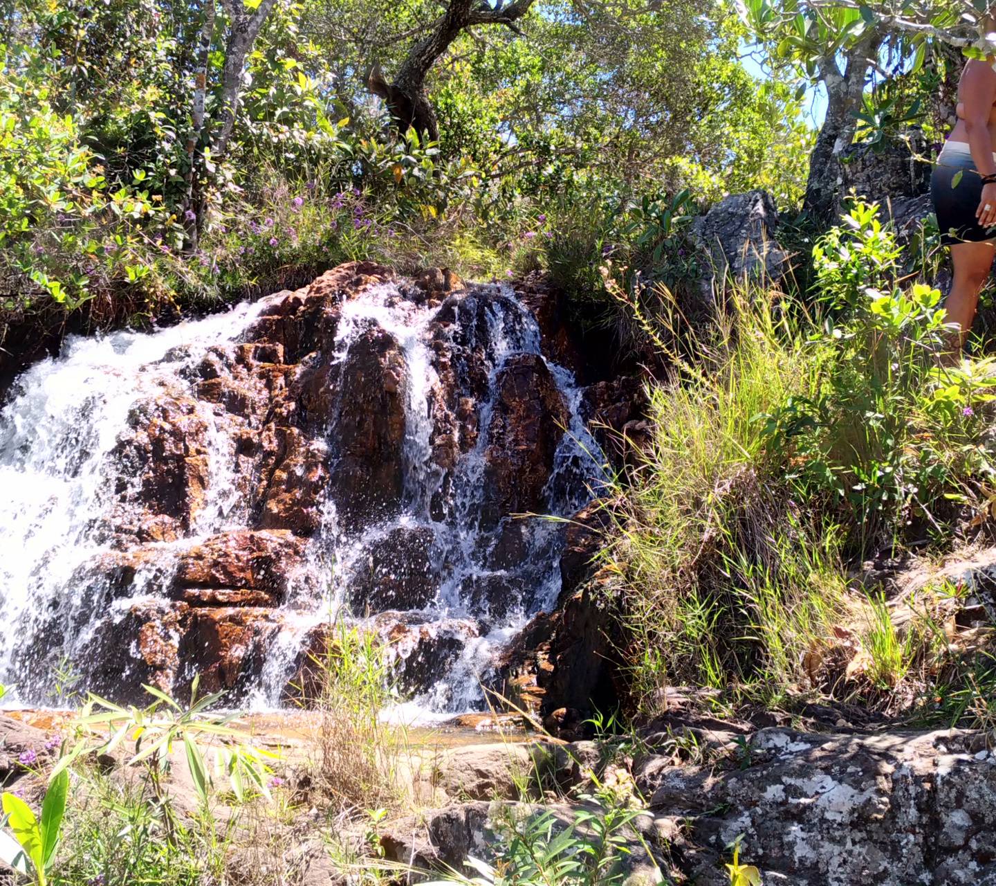 1440x1280 Cachoeira wallpaper