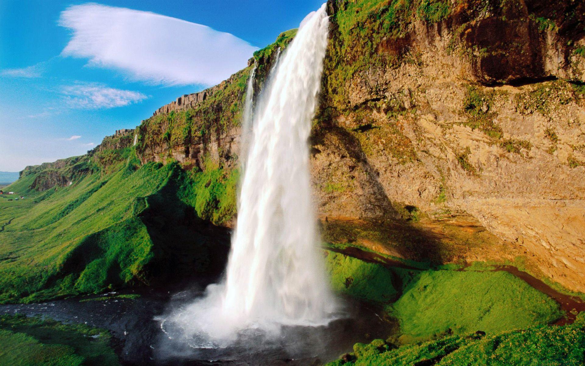 1920x1200 Dynamic Water the waterfall that shares it thirst quenching gift, seek connection and feed fol. Lindas cachoeiras, Papel de parede cachoeira, Natureza bela