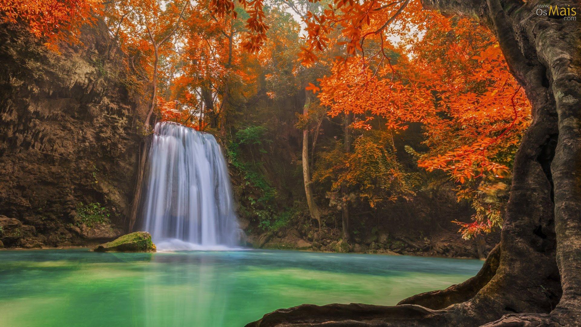 1920x1080 OsMais.com de Parede Cachoeira da Mata Outonal de parede, wallpaper, Cachoeira da Mata Outonal, wallpaper, plano de fundo, papeis de parede, planos de fundo, wallpaper Cachoeira da Mata Outonal, plano de fundo Cachoeira da Mata Outonal