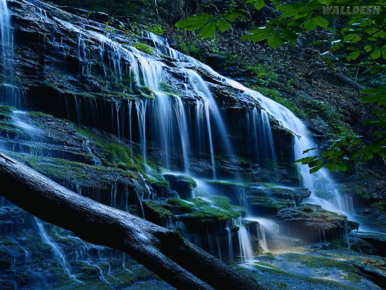 1280x960 Banhar Se Numa Cahoeira Wallpaper Wallpaper HD Dengres Water Seen