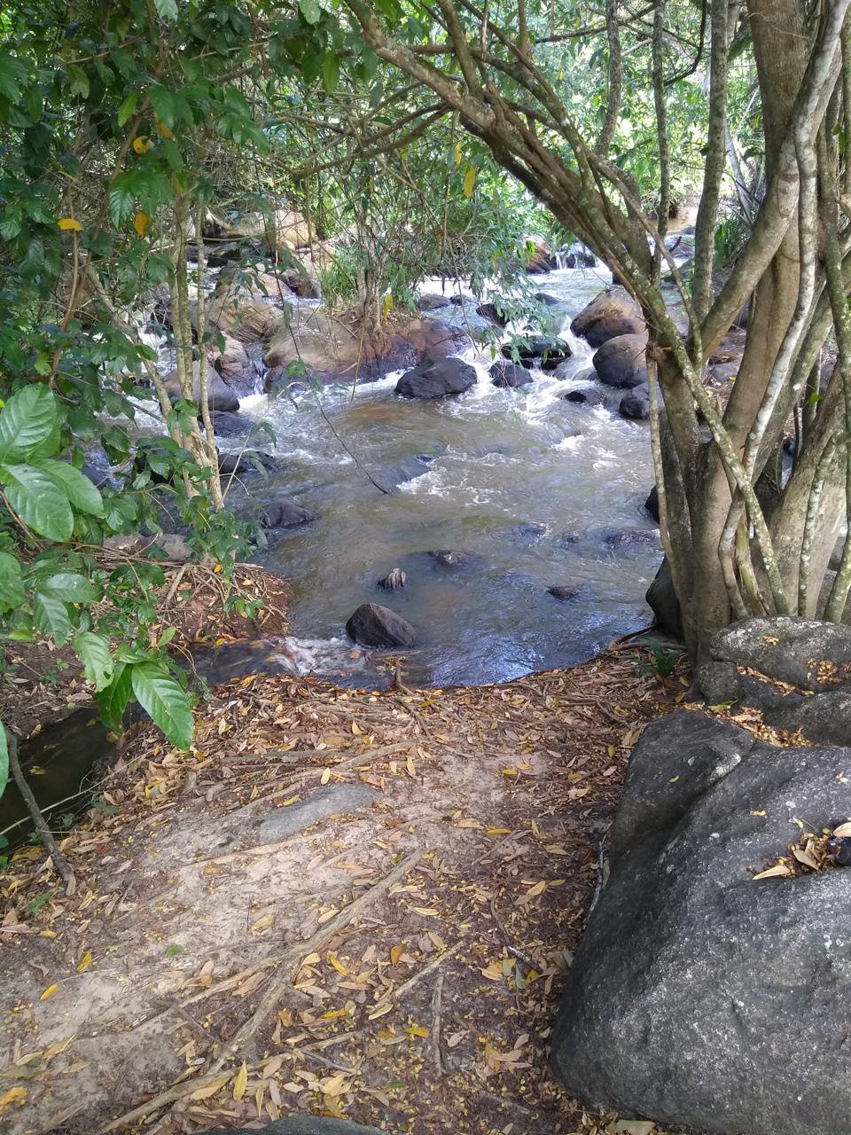 960x1280 Cachoeira wallpaper