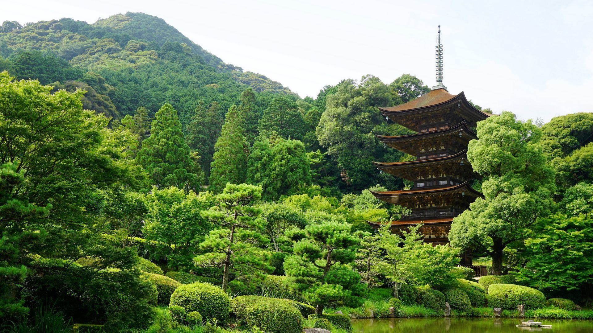 1920x1080 Download wallpaper 1920x1080 japan, yamaguchi, pond, trees full hd, hdtv, fhd, 1080p HD background
