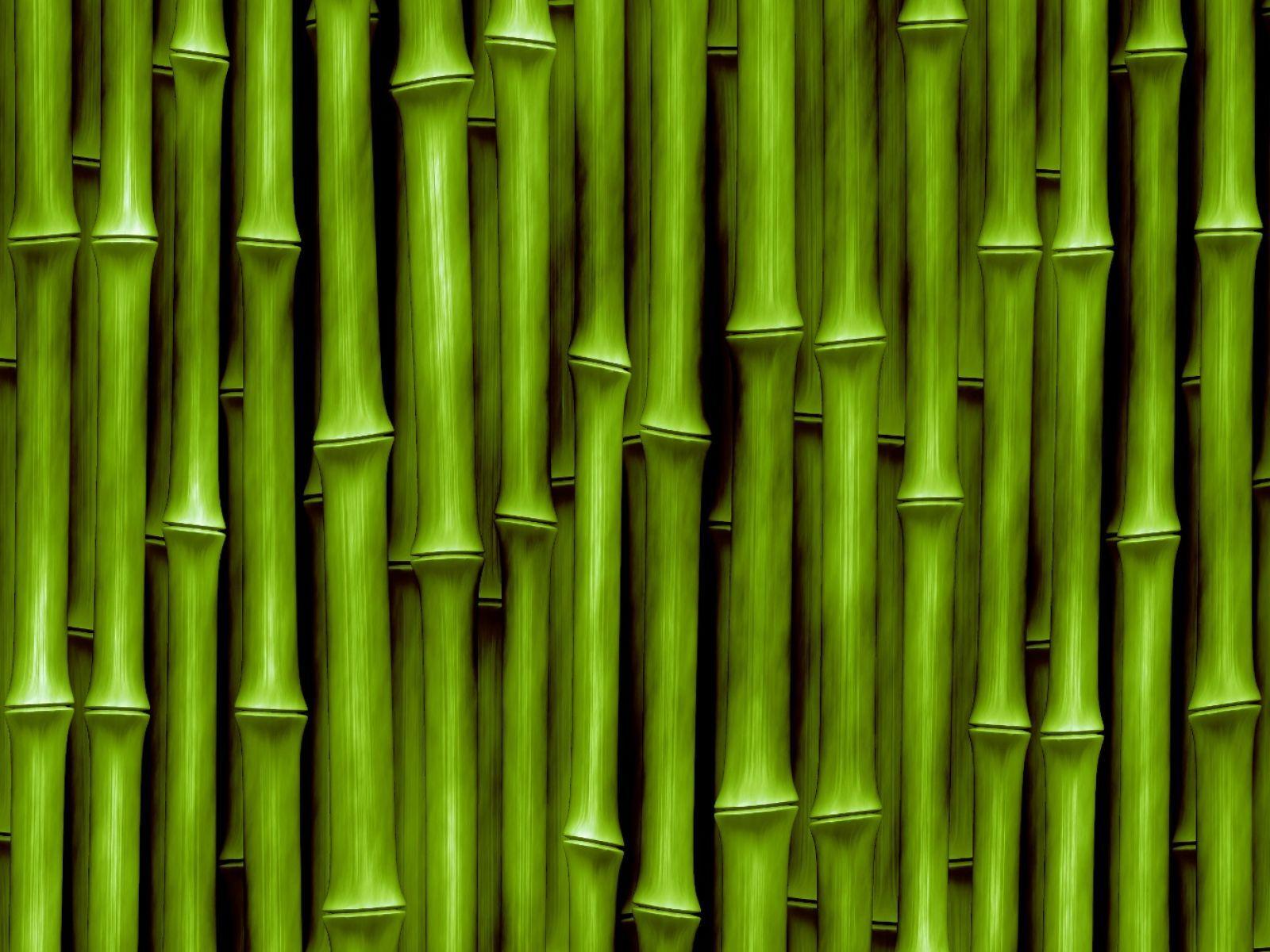 Chinese Bamboo Wallpapers - Top Free Chinese Bamboo Backgrounds -  WallpaperAccess