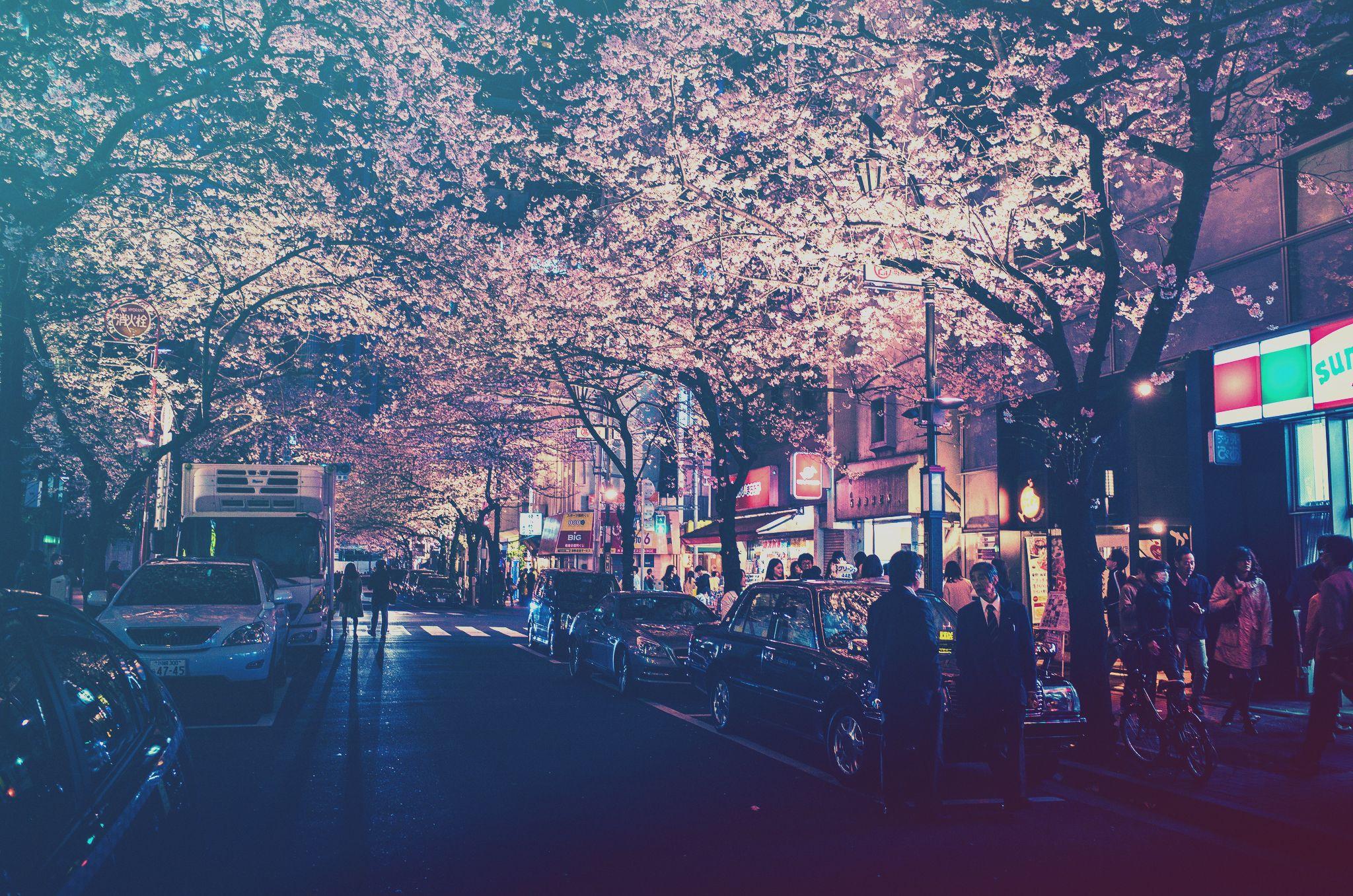 2048x1357 Japan City Wallpaper Anime