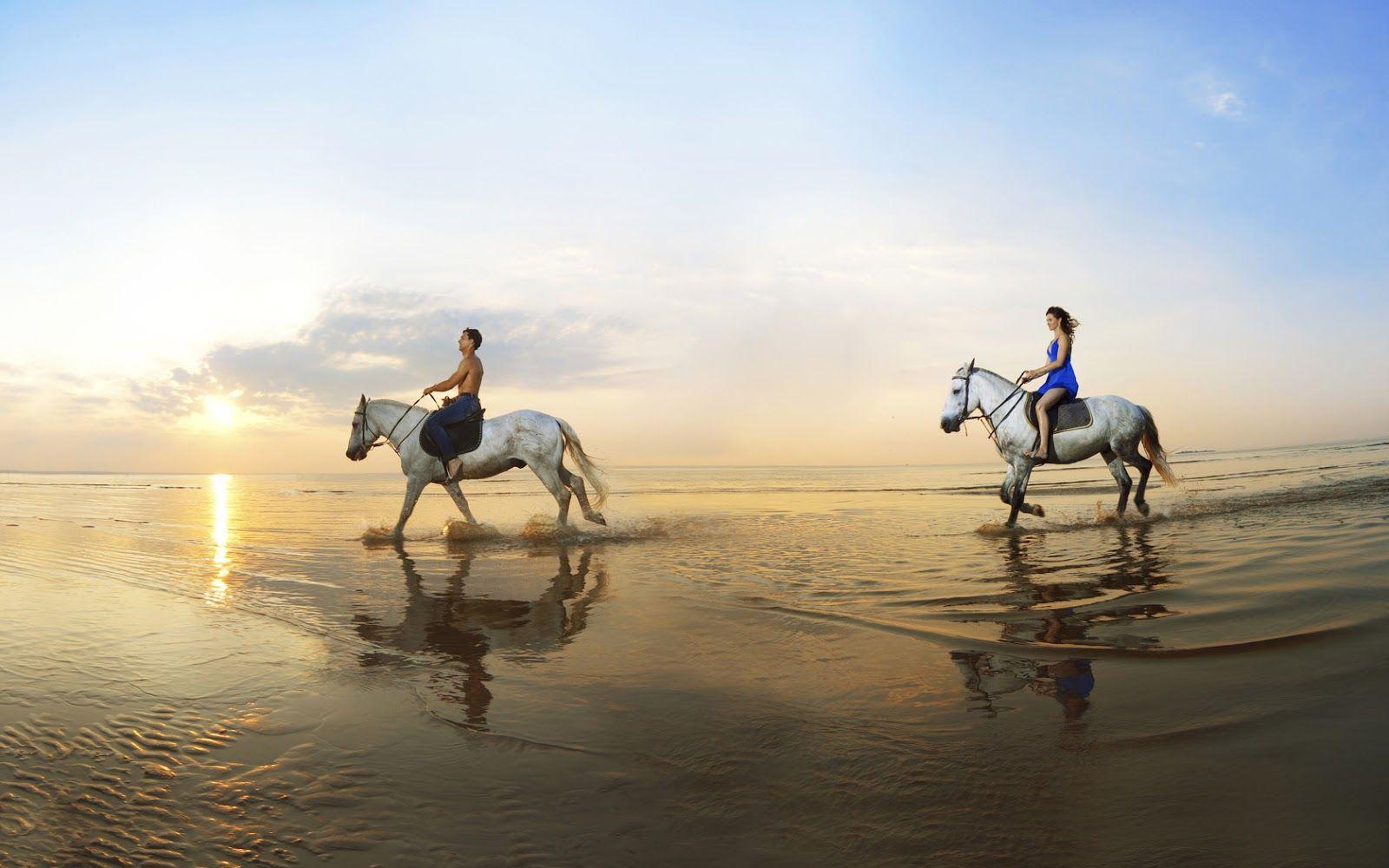 1600x1000 Two people horseback riding on the beach. HD Animals Wallpaper