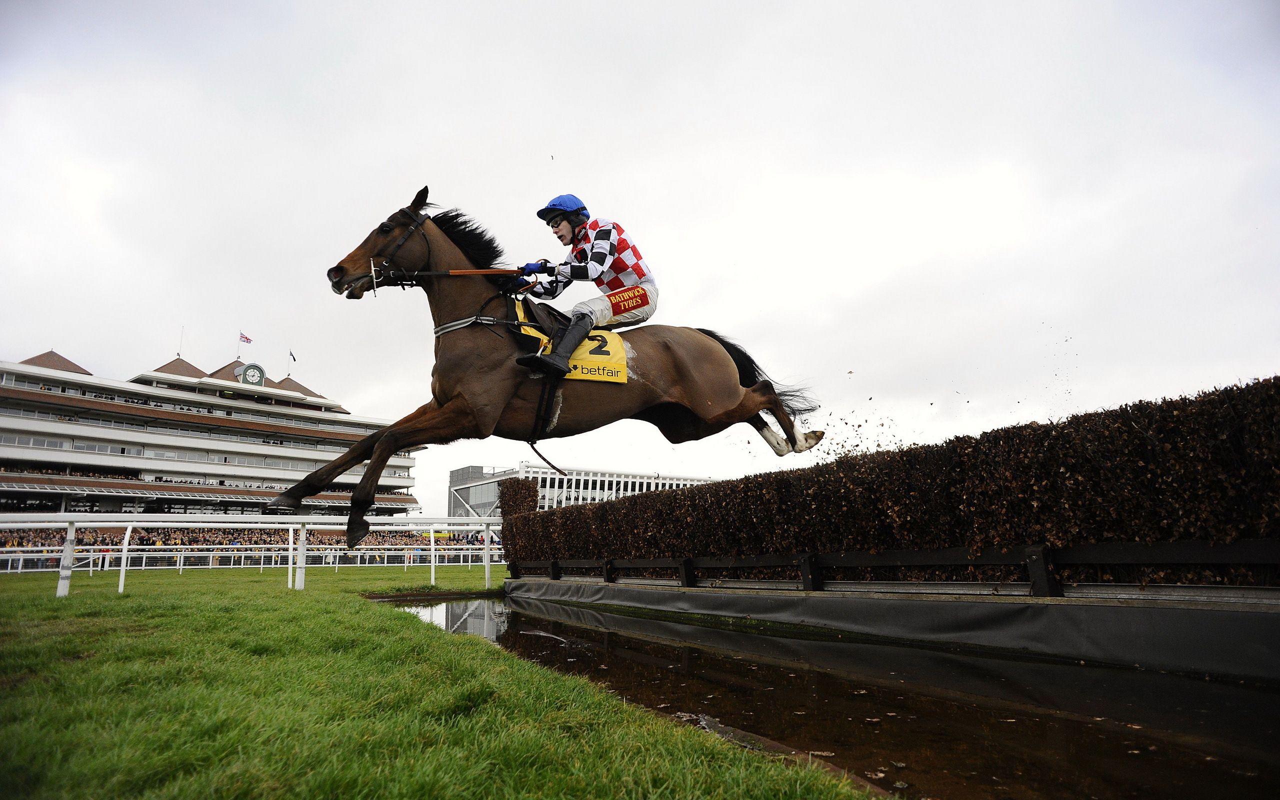 2560x1600 Eventing Wallpaper. Eventing Wallpaper, Eventing Wallpaper Equestrian and Horse Eventing Wallpaper