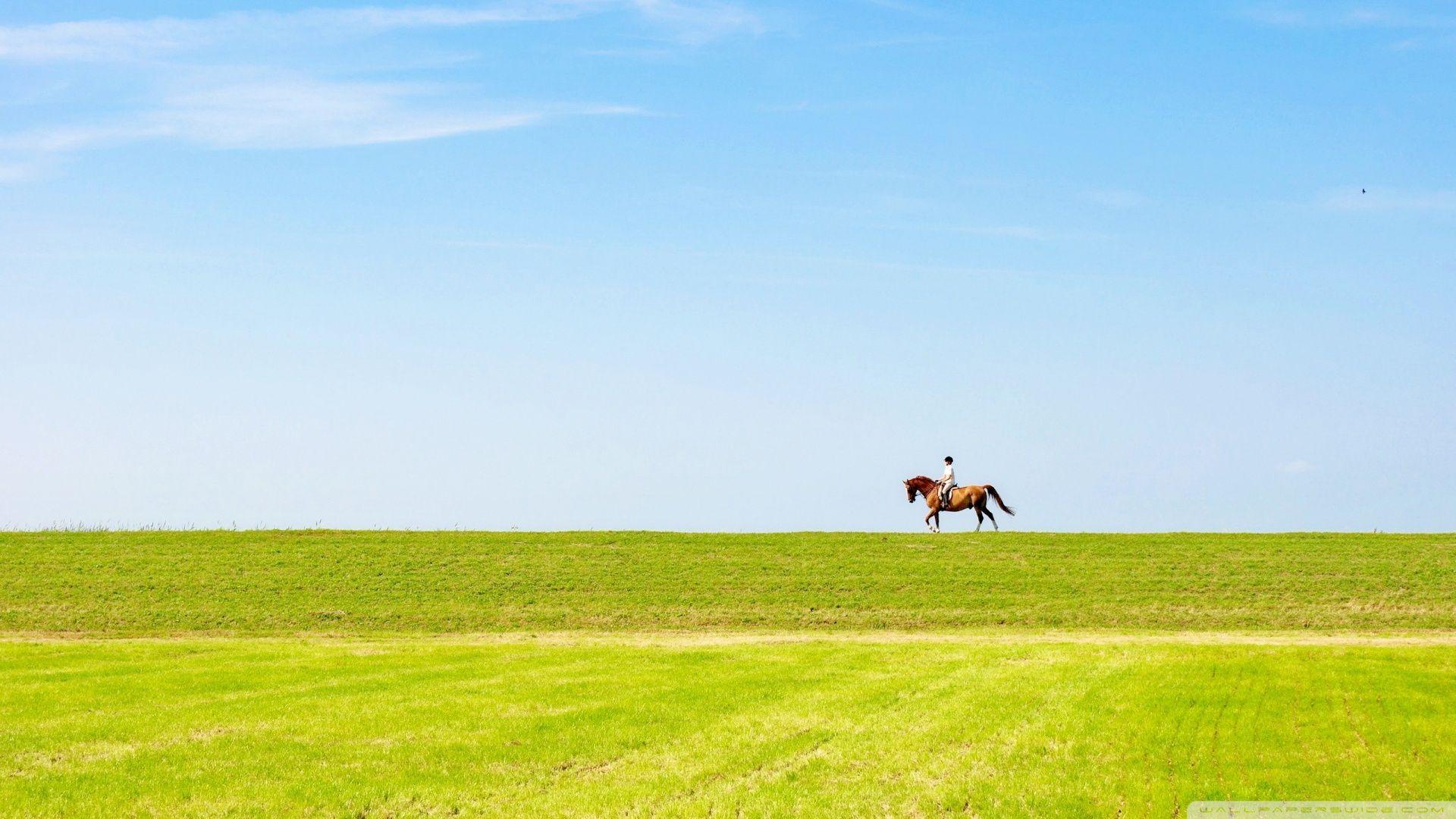 1920x1080 Horse Riding Ultra HD Desktop Background Wallpaper for 4K UHD TV : Multi Display, Dual Monitor : Tablet