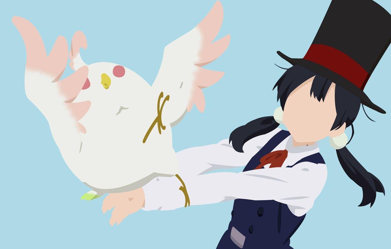 1332x850 Wallpaper minimalism, parrot, girl, Shop Tamako, view, Tamako Market image for desktop, section сёдзё