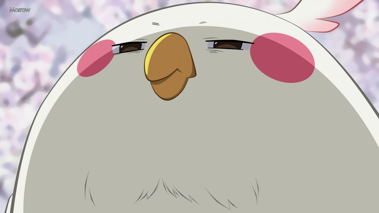 1245x700 Tamako Market wallpaperx1237