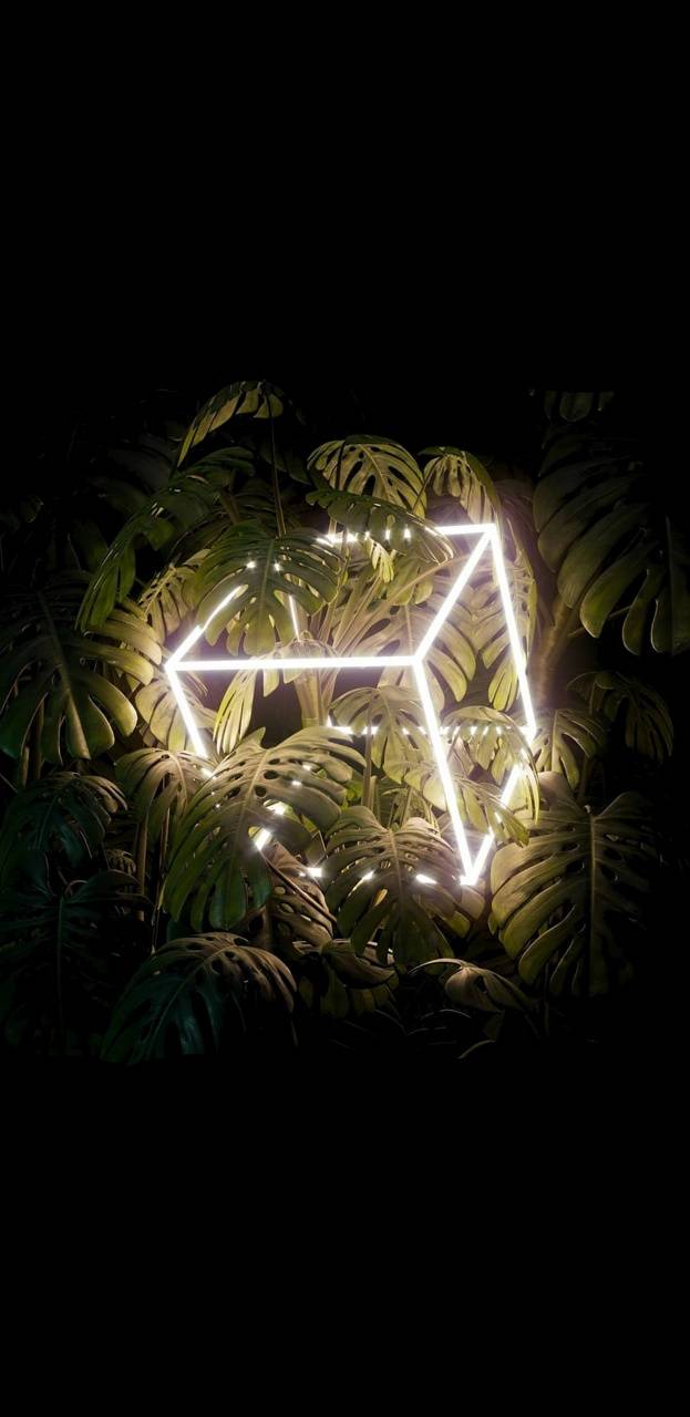 623x1280 Illumination wallpaper