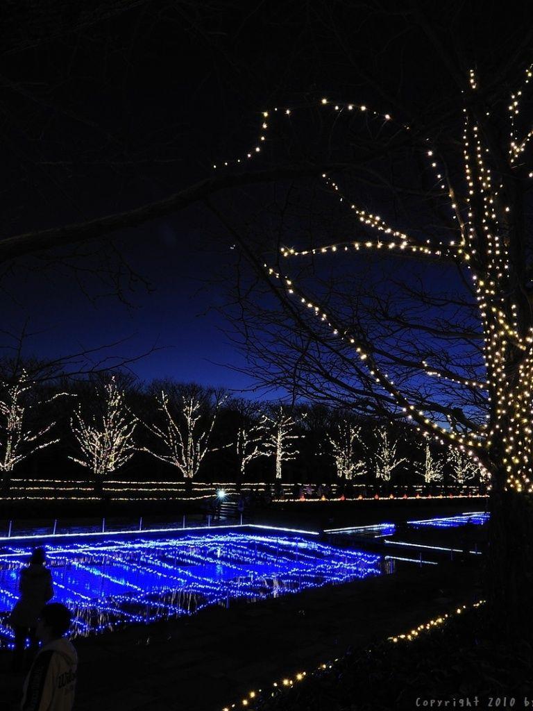 768x1024 Gallery illumination desktop PC and Mac wallpaper