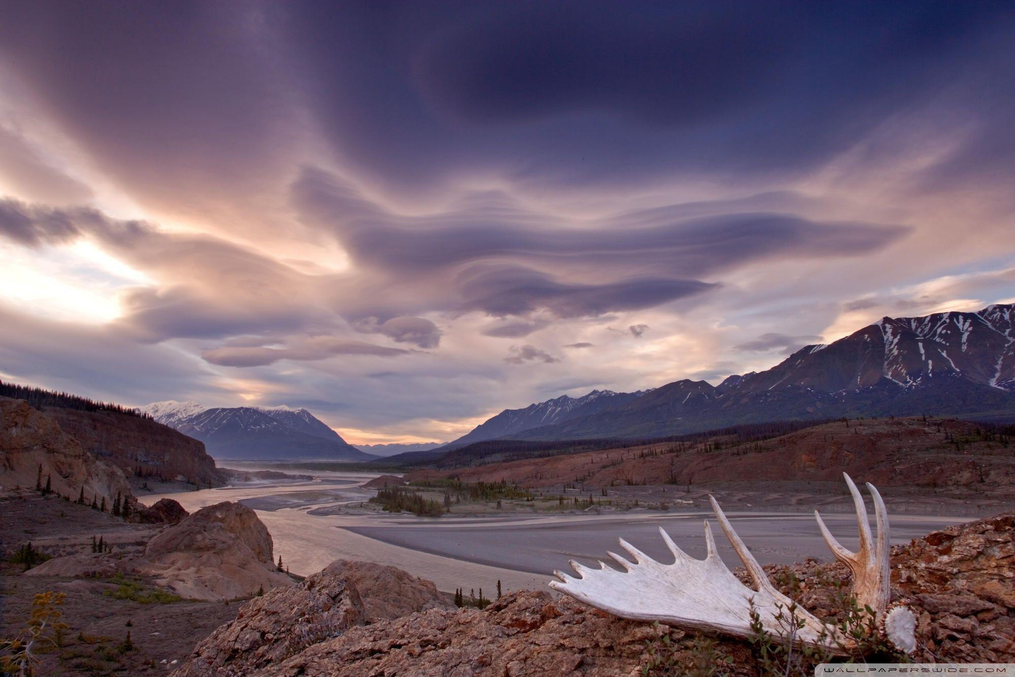 2000x1333 Moose Antler Alsek River Yukon Canada Ultra HD Desktop Background Wallpaper for 4K UHD TV : Widescreen & UltraWide Desktop & Laptop : Tablet