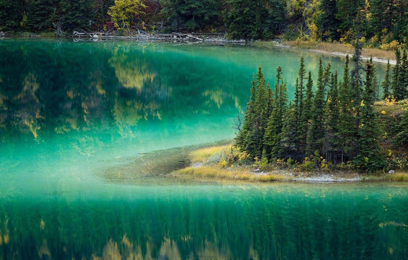 1332x850 Wallpaper trees, Canada, Yukon, lake emerald image for desktop, section природа