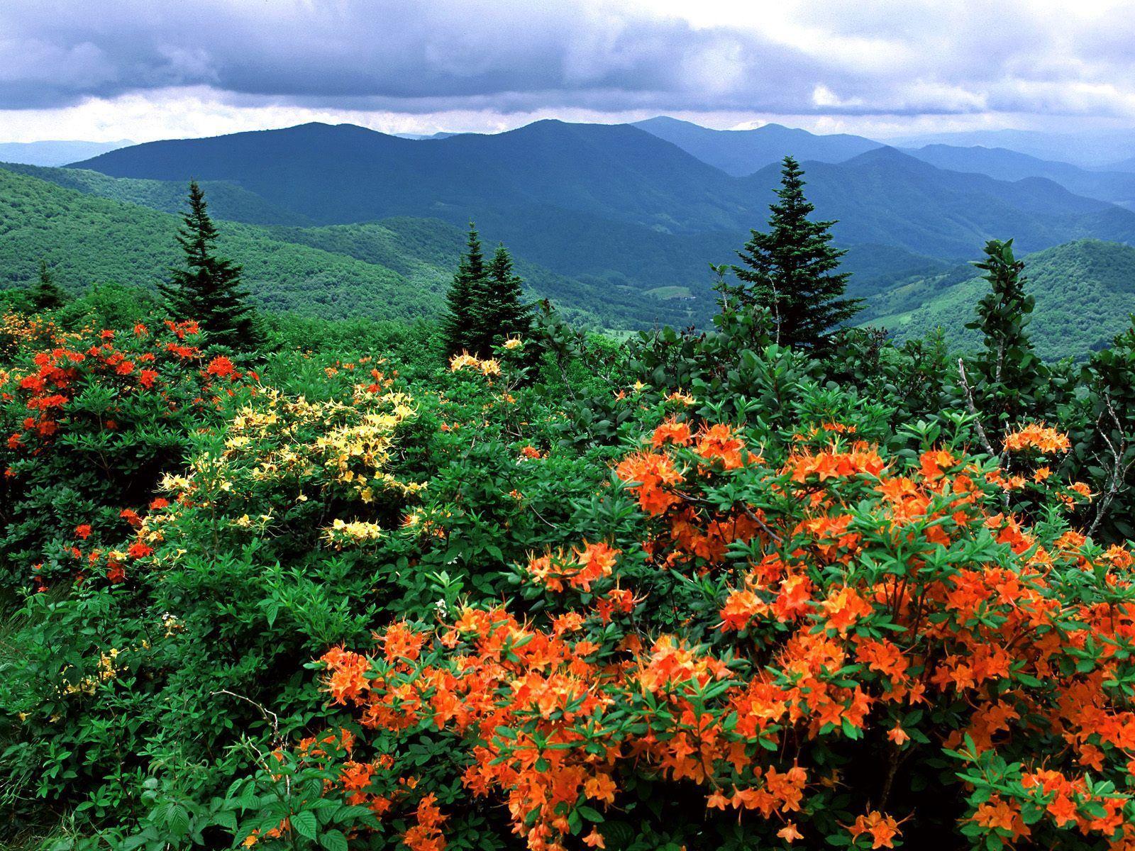 1600x1200 This photo from the Appalachian trail is beautiful. Distance is