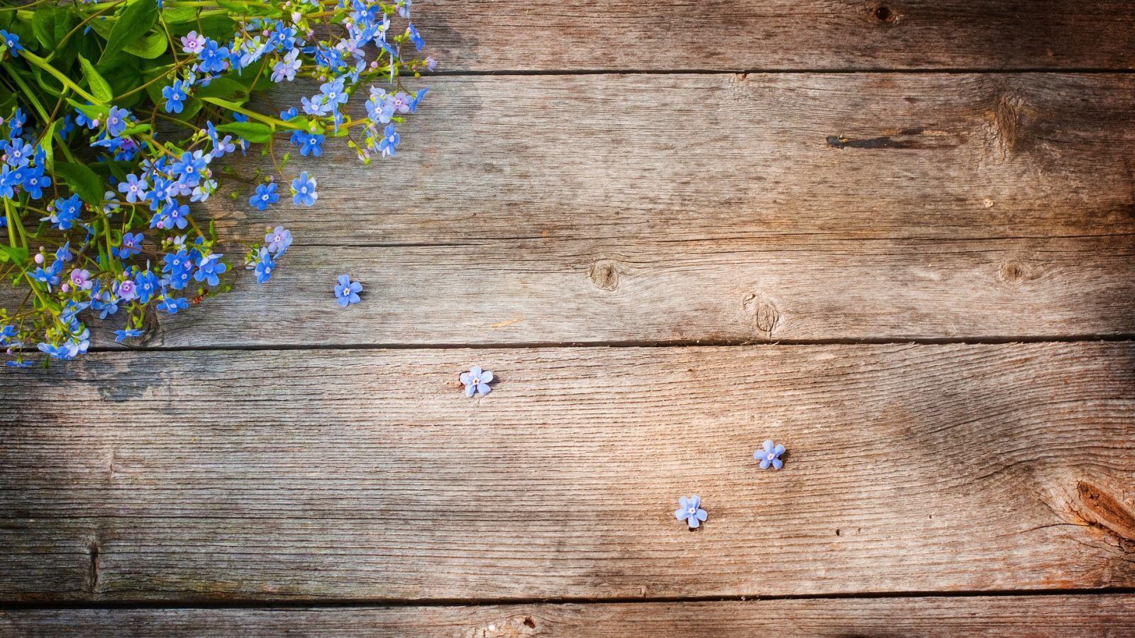 1600x900 Spring Flowers On Wood Wallpaper