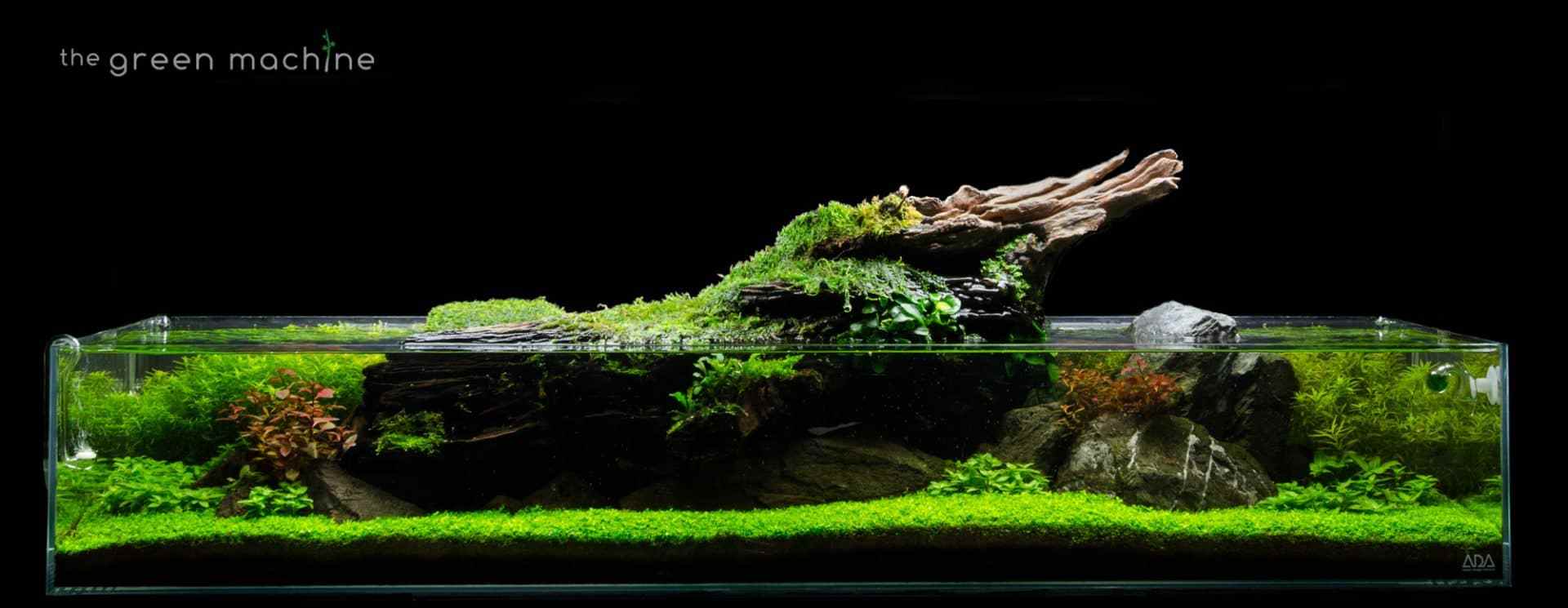 Aquascape Wallpapers Top Free Aquascape Backgrounds WallpaperAccess