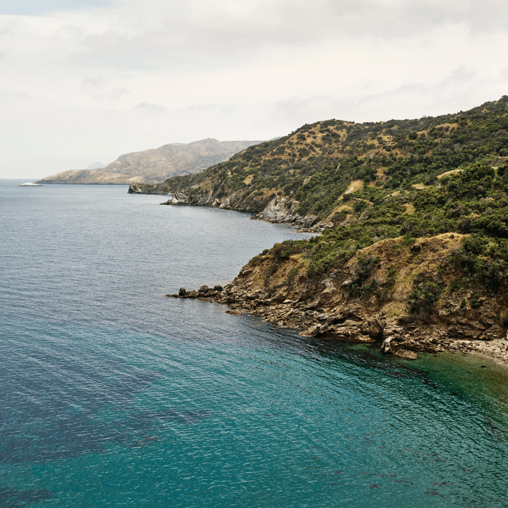 1000x1000 Download 7 new beautiful Catalina desktop wallpaper for macOS 10.15. Catalina, Wallpaper, Catalina island california