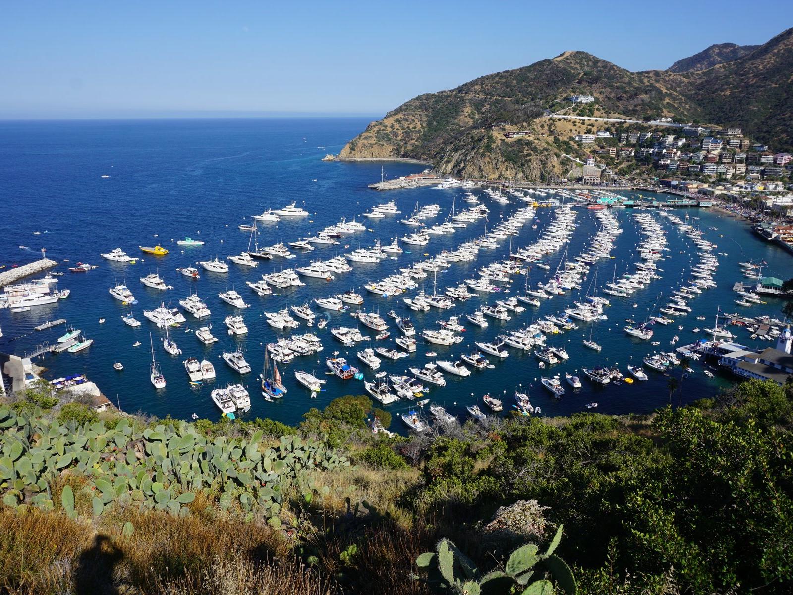 1600x1200 Things To Do In Dana Point CA Catalina Island