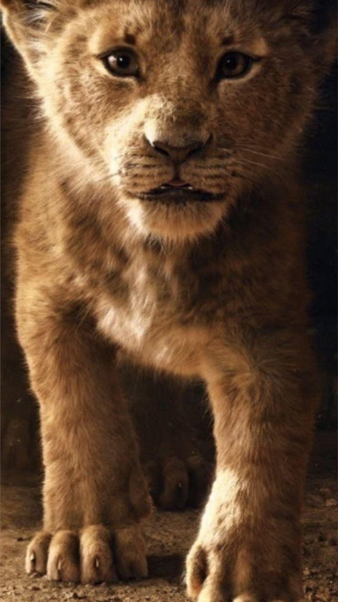 1080x1920 the lion king simba 2019 4k iPhone SE Wallpaper Free Download