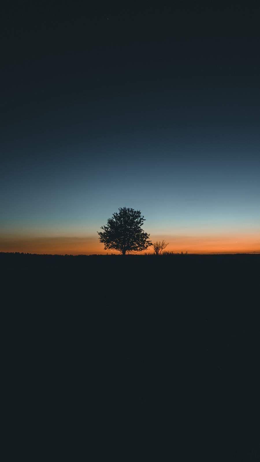 900x1600 Tree Silhouette iPhone Wallpaper#iphone #silhouette #tree #wallpaper. Sunset iphone wallpaper, Nature wallpaper, Night sky wallpaper