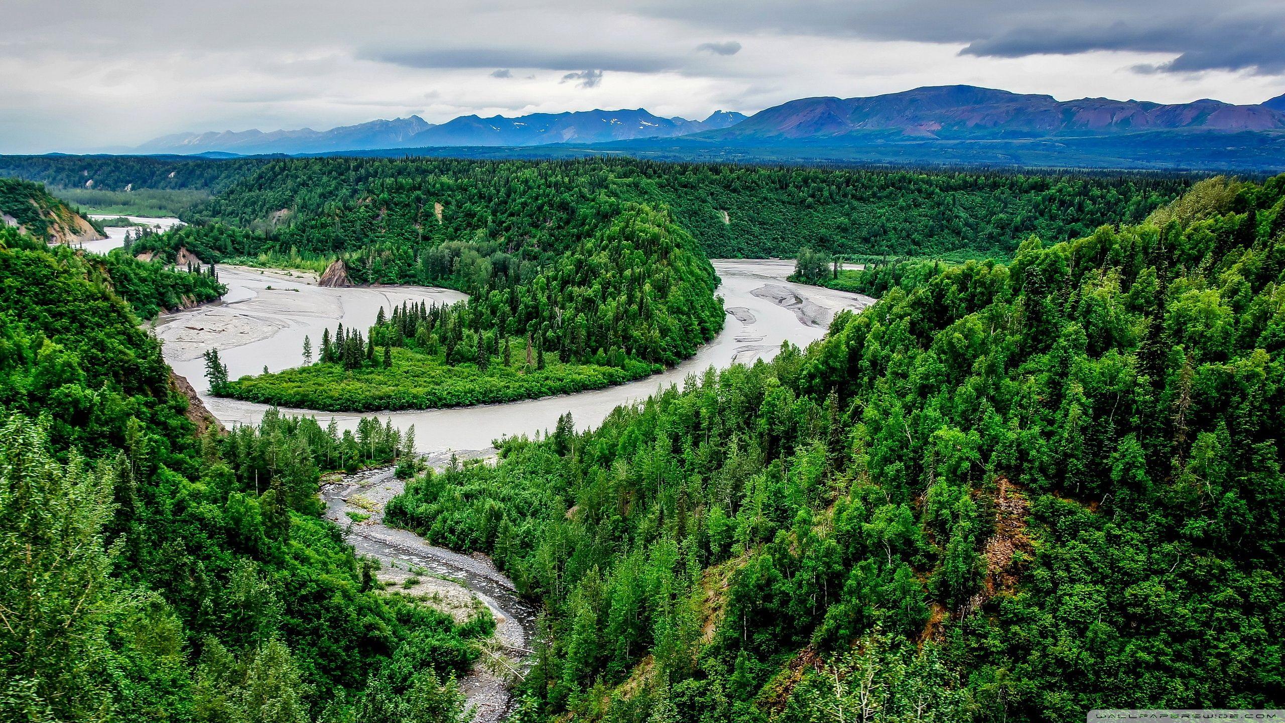 Denali National Park 4k Wallpapers Top Free Denali National Park