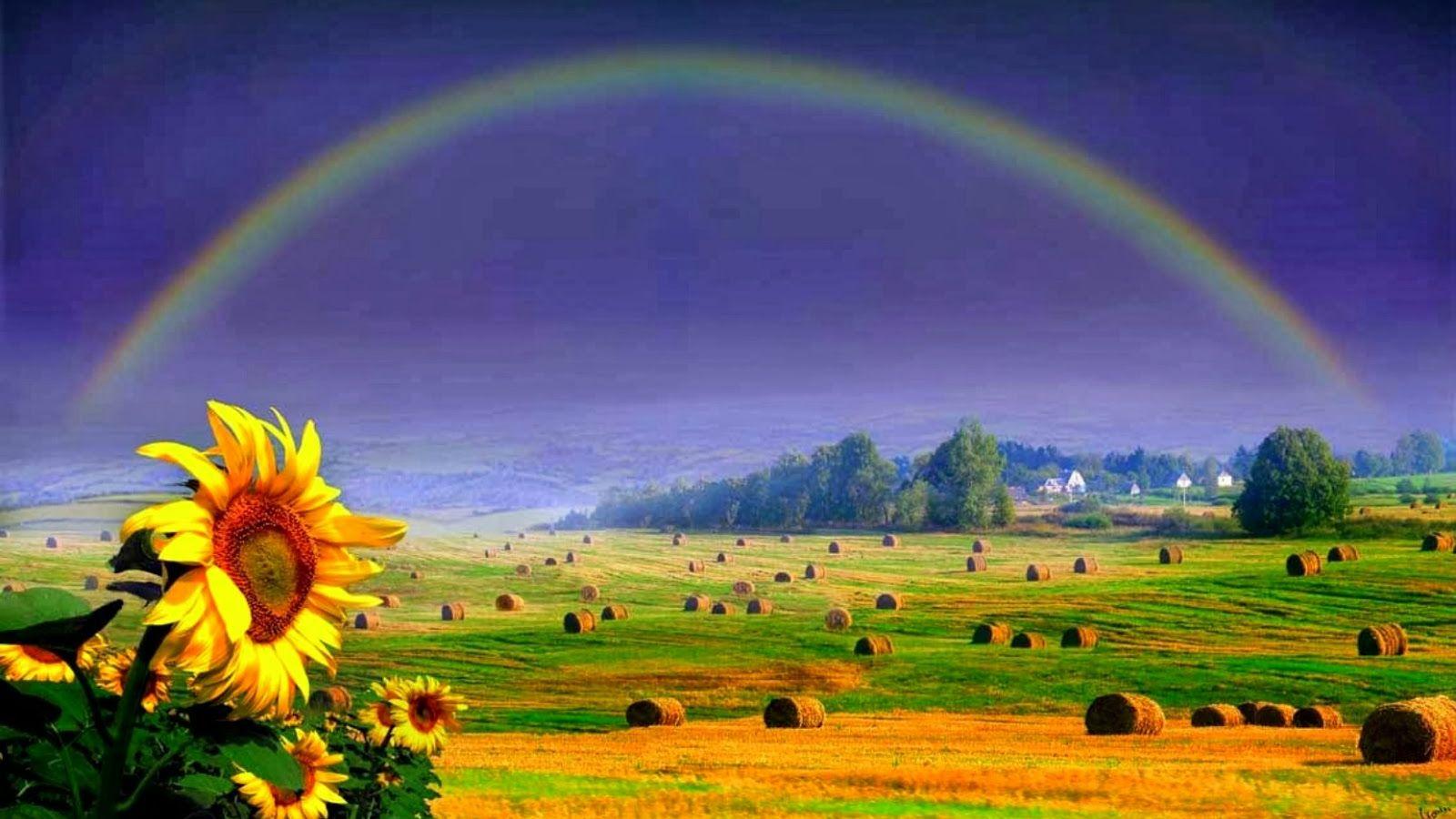 1600x900 Free download Rainbow Wallpaper [1600x916] for your Desktop, Mobile & Tablet. Explore Beautiful Rainbow Wallpaper. Rainbow Wallpaper, Rainbow Desktop Wallpaper HD, Desktop Wallpaper Rainbows