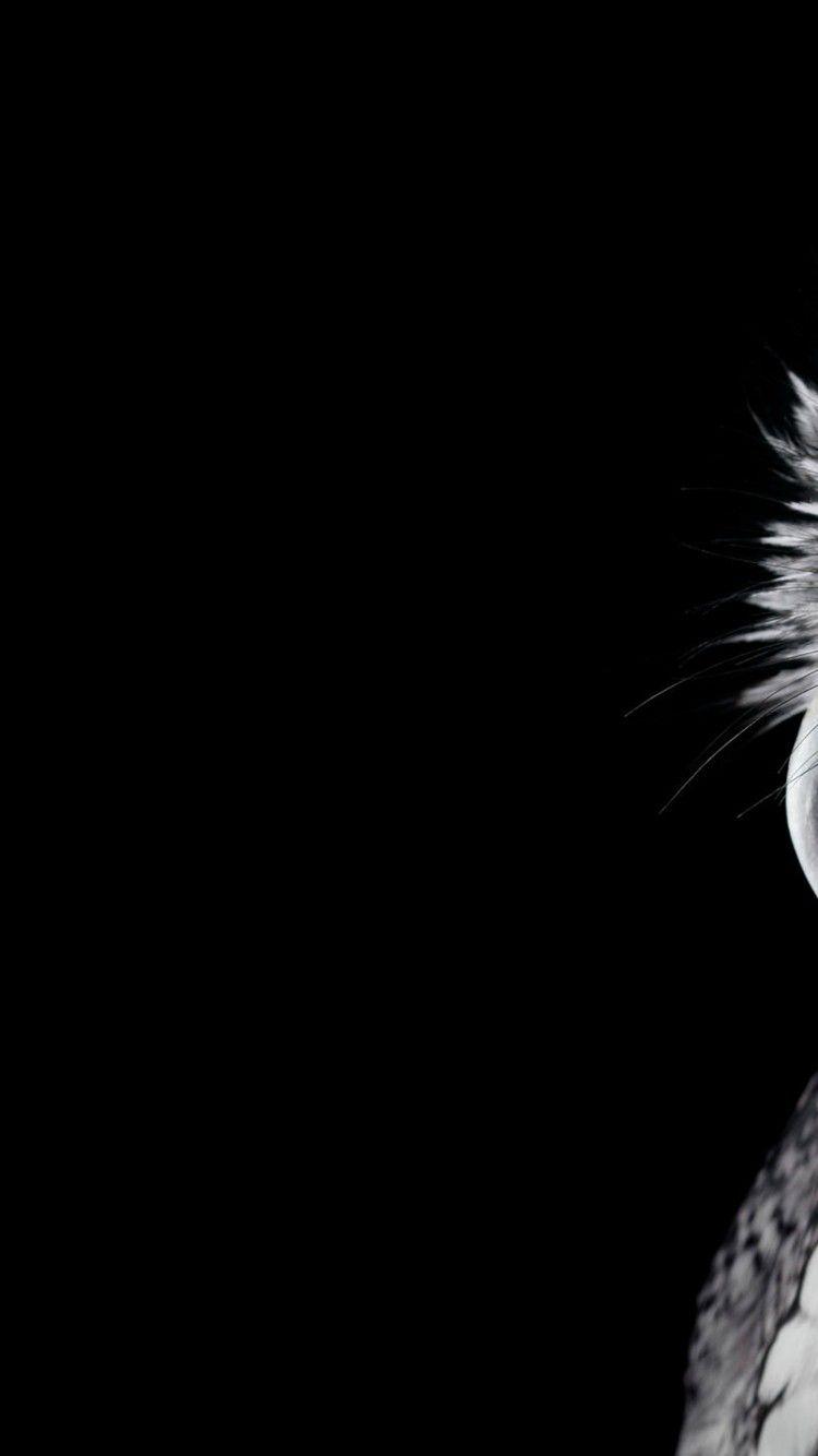 750x1334 Free HD Cute Owl Wallpaper for Mobiles and Desktop iPhone 6 / 6S