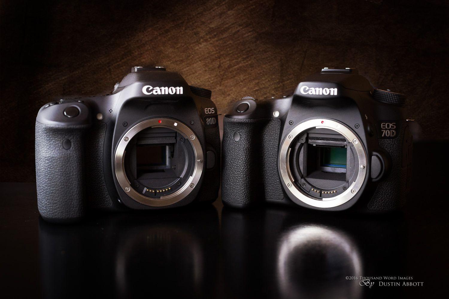 1500x1000 70D vs 80D Archives
